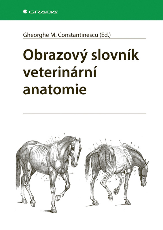E-kniha: Obrazový slovník veterinární anatomie od Constantinescu M. Gheorghe
