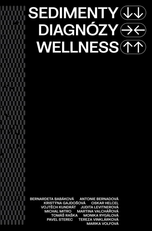 Sedimenty diagnózy wellness - kolektiv autorů