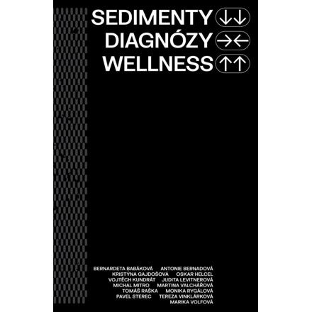 Sedimenty diagnózy wellness - kolektiv autorů