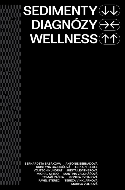 Sedimenty diagnózy wellness - kolektiv autorů