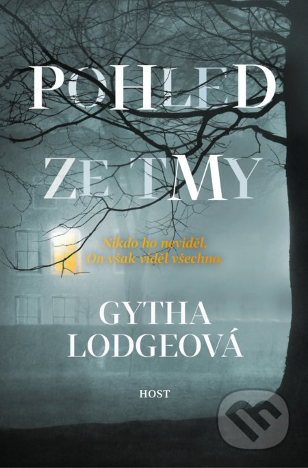 Pohled ze tmy - Gytha Lodgeová