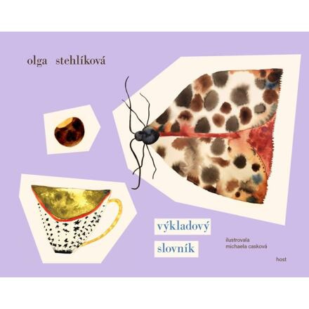 Výkladový slovník - Olga Stehlíková