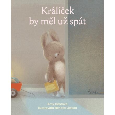 Králíček by měl už spát - Amy Hestová