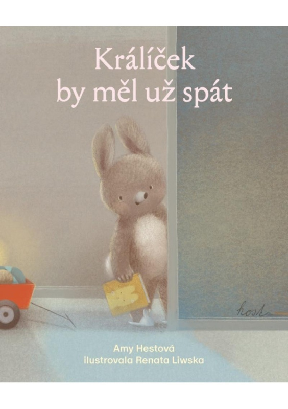 Králíček by měl už spát - Amy Hestová