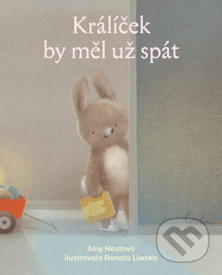 Králíček by měl už spát - Amy Hestová