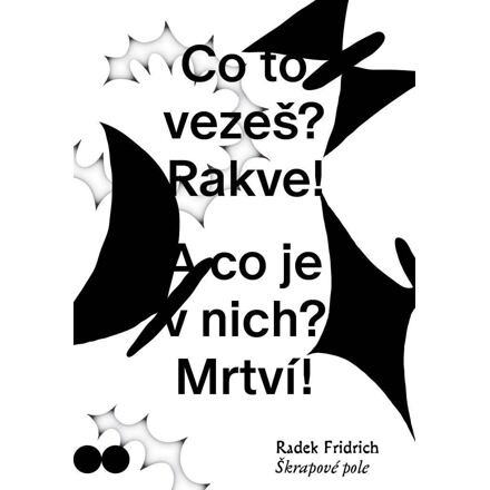 Škrapové pole - Radek Fridrich