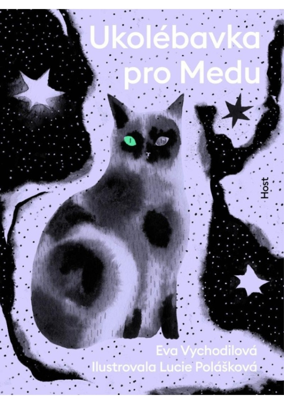Ukolébavka pro Medu - Eva Vychodilová