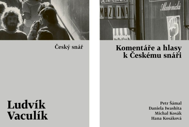 Český snář s komentářovým výkladem