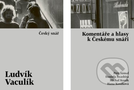 Český snář s komentářovým výkladem