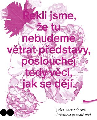 Přímluva za malé věci - Jitka Bret  Srbová - kniha z kategorie Poezie