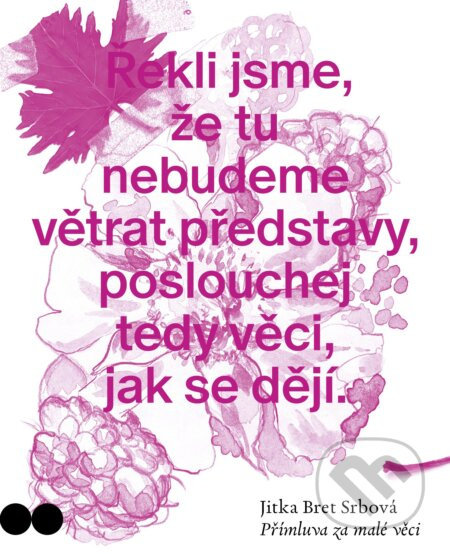 Přímluva za malé věci - Jitka Bret  Srbová - kniha z kategorie Poezie