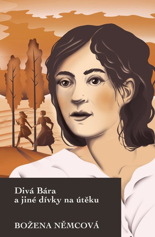 Divá Bára a jiné dívky na útěku -  Božena Němcová