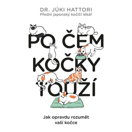 Po čem kočky touží - Júki Hattori