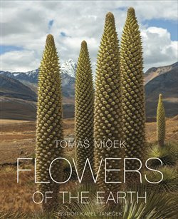 Květy Země- Flowers of the Earth - Tomáš Míček