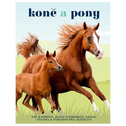 Koně a pony