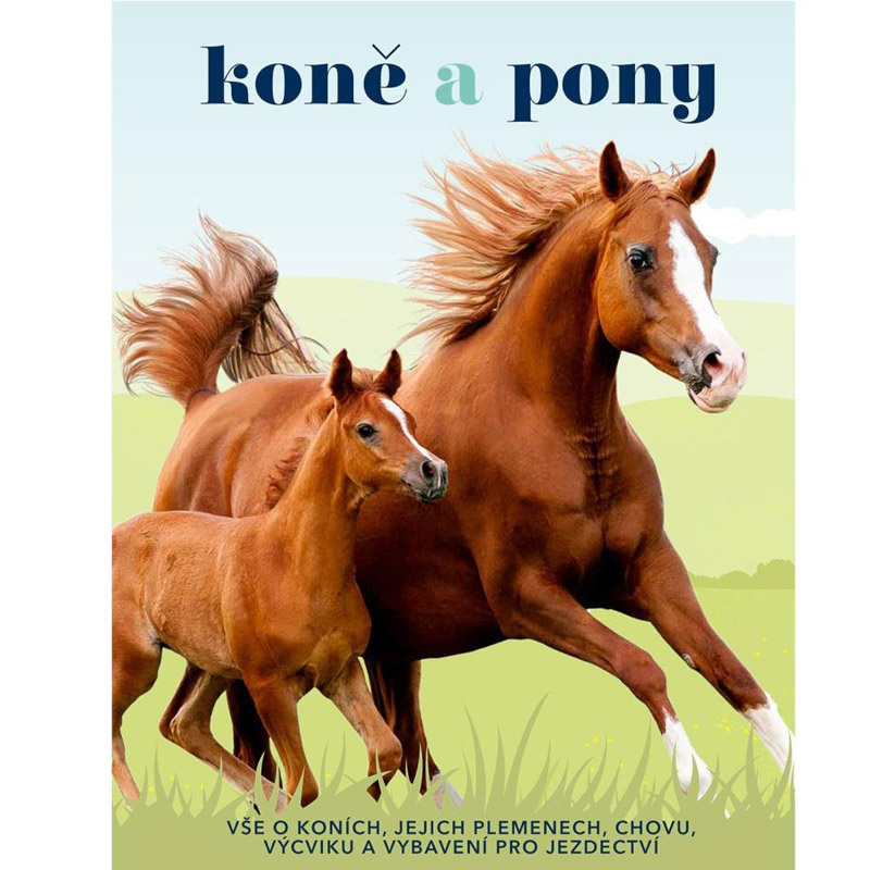 Koně a pony