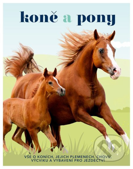 Koně a pony