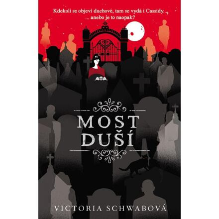 Most duší - Victoria Schwabová