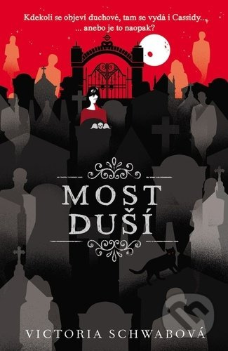 Most duší - Victoria Schwabová