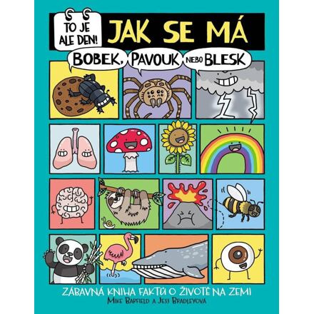 To je ale den! Jak se má bobek, pavouk nebo blesk - Mike Barfield