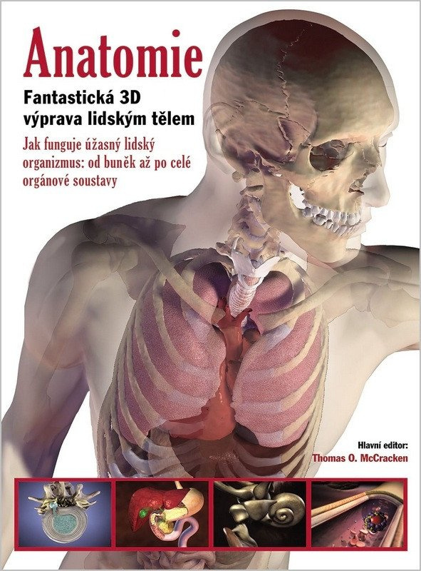 Anatomie. Fantastická 3D výprava lidským tělem - Thomas O. McCracken - kniha z kategorie Odborné a naučné