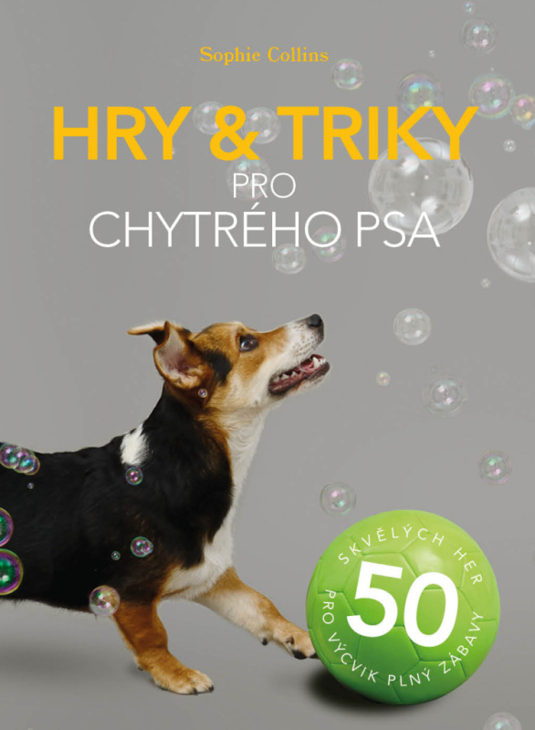 Hry a triky pro chytrého psa - Sophie Collins