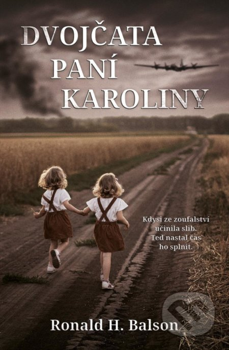 Dvojčata paní Karoliny (Kdysi ze zoufalství učinila slib. Teď nastal čas ho splnit.) - kniha z kategorie Společenská beletrie