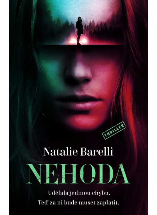 Nehoda DOBROVSKÝ s.r.o.