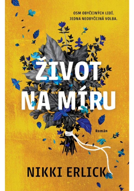 Život na míru - Nikki Erlick