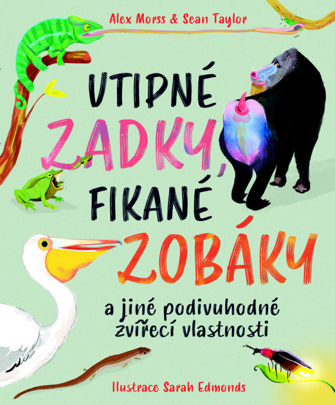 Vtipné zadky, fikané zobáky - Sean Taylor, Alex Morss