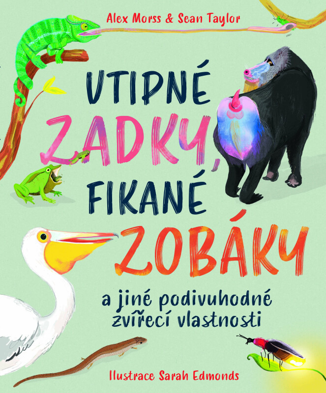 Vtipné zadky, fikané zobáky - Sean Taylor, Alex Morss
