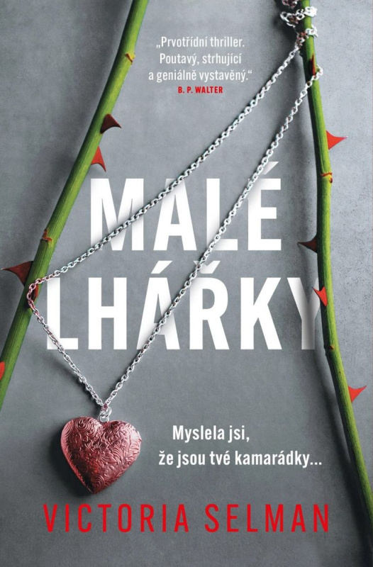 Malé lhářky (Myslela jsi, že jsou tvé kamarádky...) - kniha z kategorie Detektivky, thrillery a horory