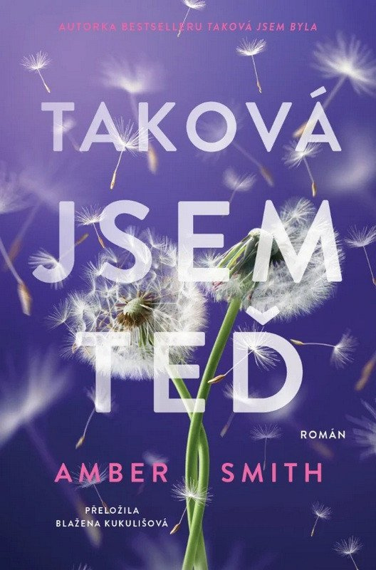 Taková jsem teď - Amber Smith - kniha z kategorie Společenská beletrie