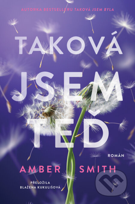 Taková jsem teď - Amber Smith - kniha z kategorie Společenská beletrie