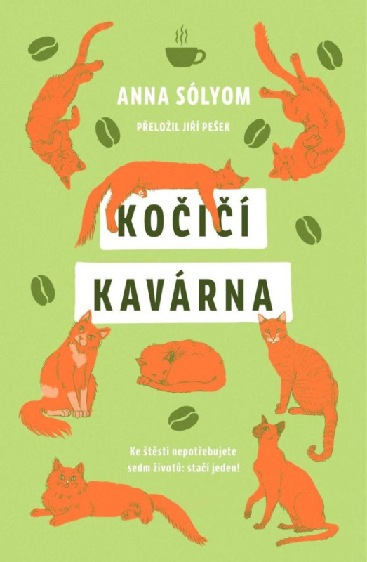 Kočičí kavárna DOBROVSKÝ s.r.o.