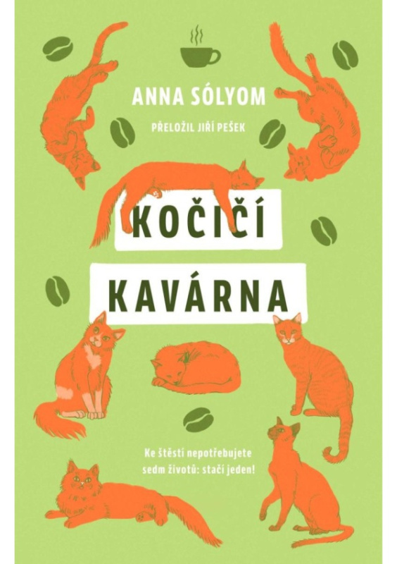 Kočičí kavárna DOBROVSKÝ s.r.o.