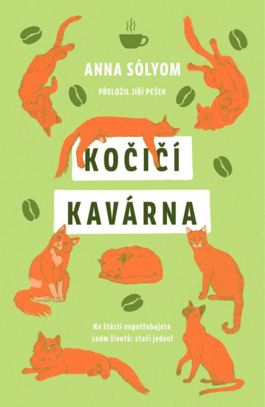 Kočičí kavárna DOBROVSKÝ s.r.o.