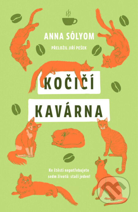 Kočičí kavárna DOBROVSKÝ s.r.o.