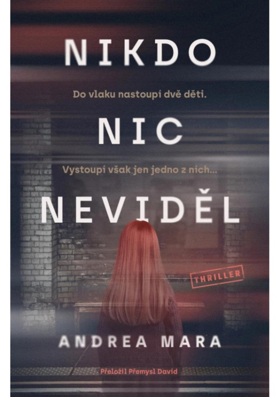 Nikdo nic neviděl - Andrea Mara