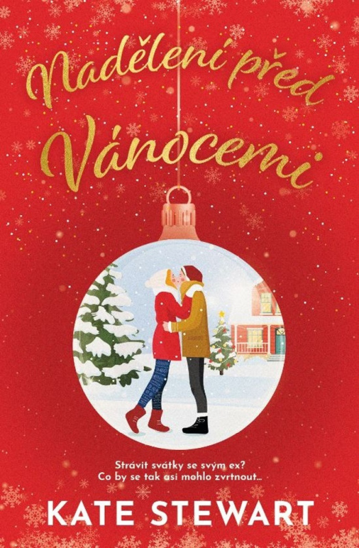Nadělení před Vánocemi - Kate Stewart