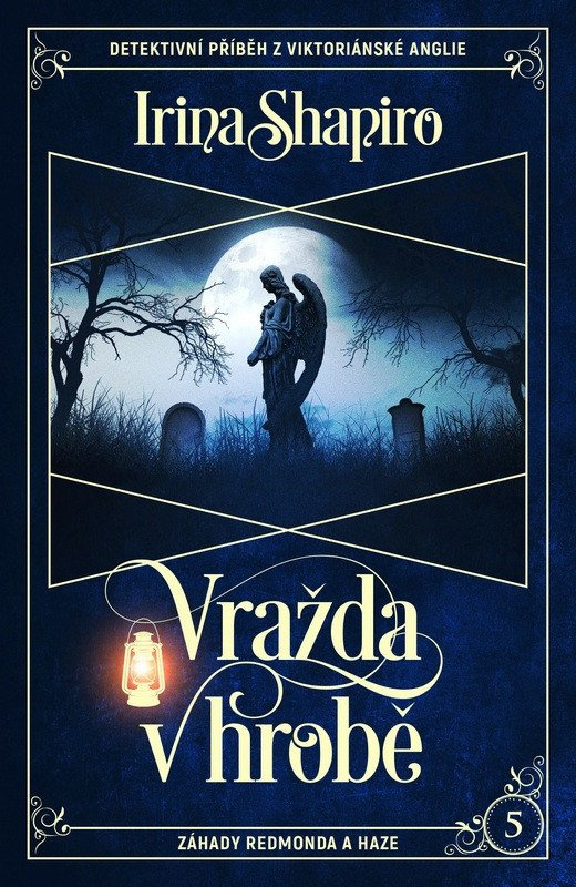 Vražda v hrobě - Irina Shapiro