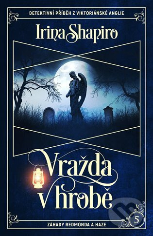 Vražda v hrobě - Irina Shapiro