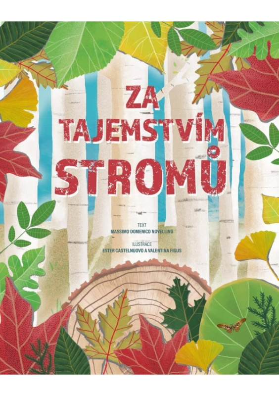 Za tajemstvím stromů - Massimo Domenico Novellino