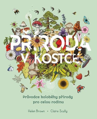 Příroda v kostce - Helen Brown