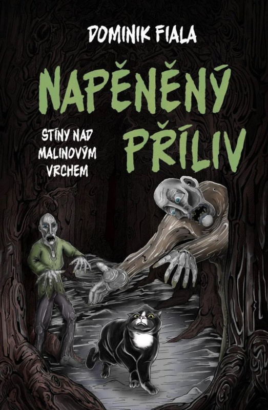Stíny nad Malinovým vrchem: Napěněný příliv - Dominik Fiala - kniha z kategorie Pohádky
