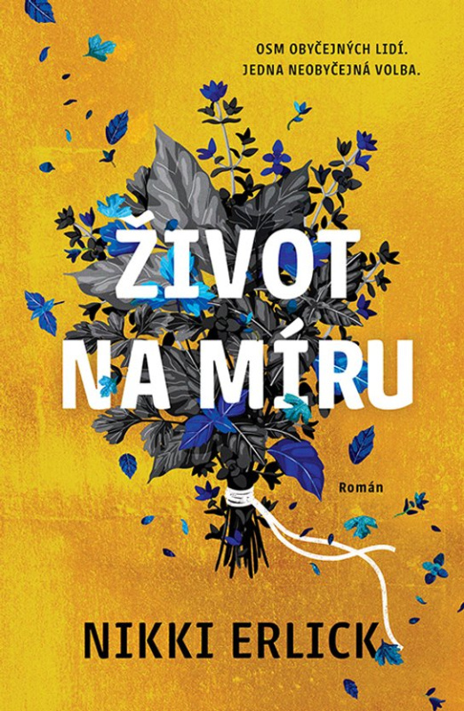 Život na míru -  Nikki Erlick