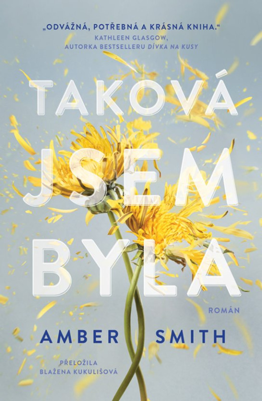 Taková jsem byla -  Amber Smith