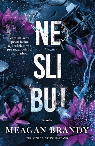 Neslibuj - Meagan Brandy - kniha z kategorie Romantická