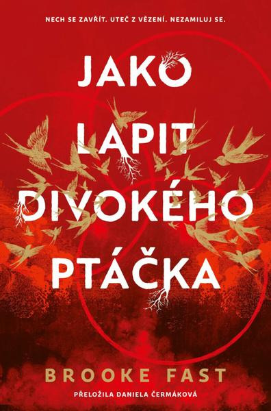 Jako lapit divokého ptáčka -  Brooke Fast