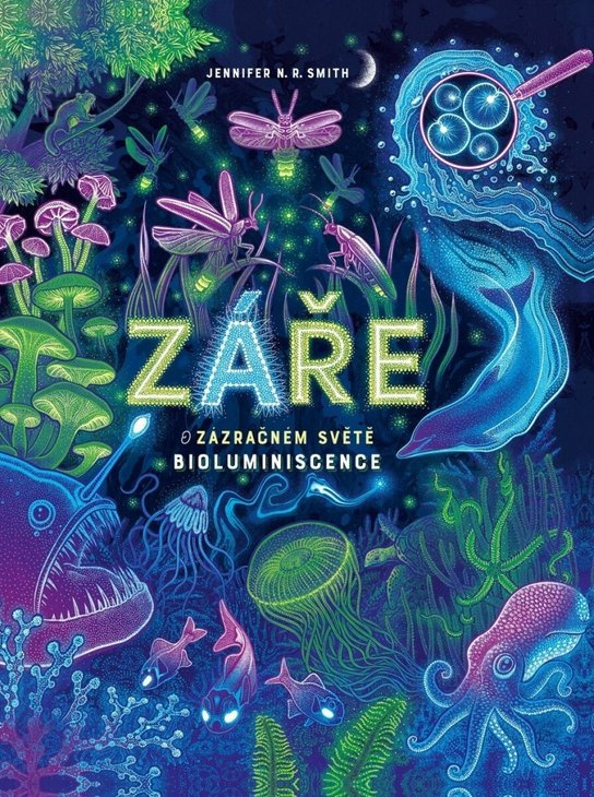 Záře - Jennifer N. R. Smith